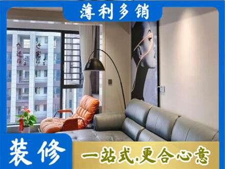 赣州市兴国专业墙面刷艺术漆